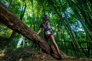 BIB: 3049
                            <button type="button" onclick="openModal(18997609)" class="btn btn-primary btn-sm float-right btn-popup" data-toggle="modal" data-target=".modal-high-quality">
                        <i class="fas fa-shopping-cart"></i> Add to Cart
                    </button>
                                            <button type="button" onclick="isThisMe(18997609, true)" class="btn btn-success btn-sm float-right btn-popup btn-isme hidden" data-toggle="tooltip" data-placement="bottom" title="นี่คือรูปของคุณใช่ไหม คลิกที่นี่เพื่อเอาเข้าอัลบั้ม">
                        <i class="fas fa-plus"></i> Add to album
                    </button>
                    <button type="button" onclick="isThisMe(18997609, false)" class="btn btn-warning btn-sm float-right btn-popup btn-isnotme hidden">
                        <i class="fas fa-ban"></i> Remove from album
                    </button>