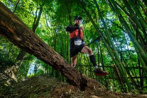 BIB: 2266
                            <button type="button" onclick="openModal(19067014)" class="btn btn-primary btn-sm float-right btn-popup" data-toggle="modal" data-target=".modal-high-quality">
                        <i class="fas fa-shopping-cart"></i> Add to Cart
                    </button>
                                            <button type="button" onclick="isThisMe(19067014, true)" class="btn btn-success btn-sm float-right btn-popup btn-isme hidden" data-toggle="tooltip" data-placement="bottom" title="นี่คือรูปของคุณใช่ไหม คลิกที่นี่เพื่อเอาเข้าอัลบั้ม">
                        <i class="fas fa-plus"></i> Add to album
                    </button>
                    <button type="button" onclick="isThisMe(19067014, false)" class="btn btn-warning btn-sm float-right btn-popup btn-isnotme hidden">
                        <i class="fas fa-ban"></i> Remove from album
                    </button>