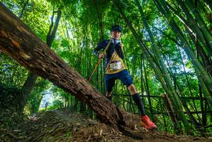 BIB: 7831
                            <button type="button" onclick="openModal(19058601)" class="btn btn-primary btn-sm float-right btn-popup" data-toggle="modal" data-target=".modal-high-quality">
                        <i class="fas fa-shopping-cart"></i> Add to Cart
                    </button>
                                            <button type="button" onclick="isThisMe(19058601, true)" class="btn btn-success btn-sm float-right btn-popup btn-isme hidden" data-toggle="tooltip" data-placement="bottom" title="นี่คือรูปของคุณใช่ไหม คลิกที่นี่เพื่อเอาเข้าอัลบั้ม">
                        <i class="fas fa-plus"></i> Add to album
                    </button>
                    <button type="button" onclick="isThisMe(19058601, false)" class="btn btn-warning btn-sm float-right btn-popup btn-isnotme hidden">
                        <i class="fas fa-ban"></i> Remove from album
                    </button>