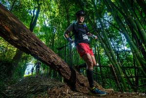 BIB: 
                            <button type="button" onclick="openModal(18997029)" class="btn btn-primary btn-sm float-right btn-popup" data-toggle="modal" data-target=".modal-high-quality">
                        <i class="fas fa-shopping-cart"></i> Add to Cart
                    </button>
                                            <button type="button" onclick="isThisMe(18997029, true)" class="btn btn-success btn-sm float-right btn-popup btn-isme hidden" data-toggle="tooltip" data-placement="bottom" title="นี่คือรูปของคุณใช่ไหม คลิกที่นี่เพื่อเอาเข้าอัลบั้ม">
                        <i class="fas fa-plus"></i> Add to album
                    </button>
                    <button type="button" onclick="isThisMe(18997029, false)" class="btn btn-warning btn-sm float-right btn-popup btn-isnotme hidden">
                        <i class="fas fa-ban"></i> Remove from album
                    </button>