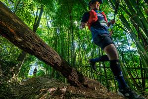 BIB: 
                            <button type="button" onclick="openModal(19069610)" class="btn btn-primary btn-sm float-right btn-popup" data-toggle="modal" data-target=".modal-high-quality">
                        <i class="fas fa-shopping-cart"></i> Add to Cart
                    </button>
                                            <button type="button" onclick="isThisMe(19069610, true)" class="btn btn-success btn-sm float-right btn-popup btn-isme hidden" data-toggle="tooltip" data-placement="bottom" title="นี่คือรูปของคุณใช่ไหม คลิกที่นี่เพื่อเอาเข้าอัลบั้ม">
                        <i class="fas fa-plus"></i> Add to album
                    </button>
                    <button type="button" onclick="isThisMe(19069610, false)" class="btn btn-warning btn-sm float-right btn-popup btn-isnotme hidden">
                        <i class="fas fa-ban"></i> Remove from album
                    </button>