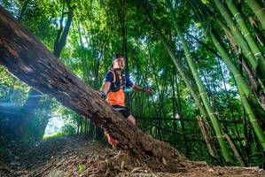 BIB: 
                            <button type="button" onclick="openModal(18997668)" class="btn btn-primary btn-sm float-right btn-popup" data-toggle="modal" data-target=".modal-high-quality">
                        <i class="fas fa-shopping-cart"></i> Add to Cart
                    </button>
                                            <button type="button" onclick="isThisMe(18997668, true)" class="btn btn-success btn-sm float-right btn-popup btn-isme hidden" data-toggle="tooltip" data-placement="bottom" title="นี่คือรูปของคุณใช่ไหม คลิกที่นี่เพื่อเอาเข้าอัลบั้ม">
                        <i class="fas fa-plus"></i> Add to album
                    </button>
                    <button type="button" onclick="isThisMe(18997668, false)" class="btn btn-warning btn-sm float-right btn-popup btn-isnotme hidden">
                        <i class="fas fa-ban"></i> Remove from album
                    </button>