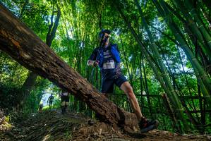 BIB: 
                            <button type="button" onclick="openModal(18998051)" class="btn btn-primary btn-sm float-right btn-popup" data-toggle="modal" data-target=".modal-high-quality">
                        <i class="fas fa-shopping-cart"></i> Add to Cart
                    </button>
                                            <button type="button" onclick="isThisMe(18998051, true)" class="btn btn-success btn-sm float-right btn-popup btn-isme hidden" data-toggle="tooltip" data-placement="bottom" title="นี่คือรูปของคุณใช่ไหม คลิกที่นี่เพื่อเอาเข้าอัลบั้ม">
                        <i class="fas fa-plus"></i> Add to album
                    </button>
                    <button type="button" onclick="isThisMe(18998051, false)" class="btn btn-warning btn-sm float-right btn-popup btn-isnotme hidden">
                        <i class="fas fa-ban"></i> Remove from album
                    </button>