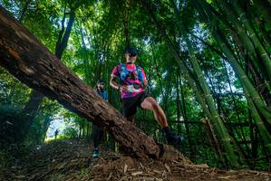 BIB: 
                            <button type="button" onclick="openModal(18997047)" class="btn btn-primary btn-sm float-right btn-popup" data-toggle="modal" data-target=".modal-high-quality">
                        <i class="fas fa-shopping-cart"></i> Add to Cart
                    </button>
                                            <button type="button" onclick="isThisMe(18997047, true)" class="btn btn-success btn-sm float-right btn-popup btn-isme hidden" data-toggle="tooltip" data-placement="bottom" title="นี่คือรูปของคุณใช่ไหม คลิกที่นี่เพื่อเอาเข้าอัลบั้ม">
                        <i class="fas fa-plus"></i> Add to album
                    </button>
                    <button type="button" onclick="isThisMe(18997047, false)" class="btn btn-warning btn-sm float-right btn-popup btn-isnotme hidden">
                        <i class="fas fa-ban"></i> Remove from album
                    </button>