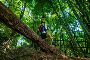 BIB: 
                            <button type="button" onclick="openModal(19067320)" class="btn btn-primary btn-sm float-right btn-popup" data-toggle="modal" data-target=".modal-high-quality">
                        <i class="fas fa-shopping-cart"></i> Add to Cart
                    </button>
                                            <button type="button" onclick="isThisMe(19067320, true)" class="btn btn-success btn-sm float-right btn-popup btn-isme hidden" data-toggle="tooltip" data-placement="bottom" title="นี่คือรูปของคุณใช่ไหม คลิกที่นี่เพื่อเอาเข้าอัลบั้ม">
                        <i class="fas fa-plus"></i> Add to album
                    </button>
                    <button type="button" onclick="isThisMe(19067320, false)" class="btn btn-warning btn-sm float-right btn-popup btn-isnotme hidden">
                        <i class="fas fa-ban"></i> Remove from album
                    </button>