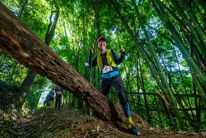 BIB: 
                            <button type="button" onclick="openModal(19056151)" class="btn btn-primary btn-sm float-right btn-popup" data-toggle="modal" data-target=".modal-high-quality">
                        <i class="fas fa-shopping-cart"></i> Add to Cart
                    </button>
                                            <button type="button" onclick="isThisMe(19056151, true)" class="btn btn-success btn-sm float-right btn-popup btn-isme hidden" data-toggle="tooltip" data-placement="bottom" title="นี่คือรูปของคุณใช่ไหม คลิกที่นี่เพื่อเอาเข้าอัลบั้ม">
                        <i class="fas fa-plus"></i> Add to album
                    </button>
                    <button type="button" onclick="isThisMe(19056151, false)" class="btn btn-warning btn-sm float-right btn-popup btn-isnotme hidden">
                        <i class="fas fa-ban"></i> Remove from album
                    </button>