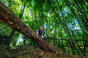 BIB: 
                            <button type="button" onclick="openModal(19058688)" class="btn btn-primary btn-sm float-right btn-popup" data-toggle="modal" data-target=".modal-high-quality">
                        <i class="fas fa-shopping-cart"></i> Add to Cart
                    </button>
                                            <button type="button" onclick="isThisMe(19058688, true)" class="btn btn-success btn-sm float-right btn-popup btn-isme hidden" data-toggle="tooltip" data-placement="bottom" title="นี่คือรูปของคุณใช่ไหม คลิกที่นี่เพื่อเอาเข้าอัลบั้ม">
                        <i class="fas fa-plus"></i> Add to album
                    </button>
                    <button type="button" onclick="isThisMe(19058688, false)" class="btn btn-warning btn-sm float-right btn-popup btn-isnotme hidden">
                        <i class="fas fa-ban"></i> Remove from album
                    </button>