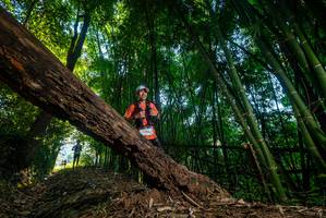 BIB: 
                            <button type="button" onclick="openModal(18989761)" class="btn btn-primary btn-sm float-right btn-popup" data-toggle="modal" data-target=".modal-high-quality">
                        <i class="fas fa-shopping-cart"></i> Add to Cart
                    </button>
                                            <button type="button" onclick="isThisMe(18989761, true)" class="btn btn-success btn-sm float-right btn-popup btn-isme hidden" data-toggle="tooltip" data-placement="bottom" title="นี่คือรูปของคุณใช่ไหม คลิกที่นี่เพื่อเอาเข้าอัลบั้ม">
                        <i class="fas fa-plus"></i> Add to album
                    </button>
                    <button type="button" onclick="isThisMe(18989761, false)" class="btn btn-warning btn-sm float-right btn-popup btn-isnotme hidden">
                        <i class="fas fa-ban"></i> Remove from album
                    </button>