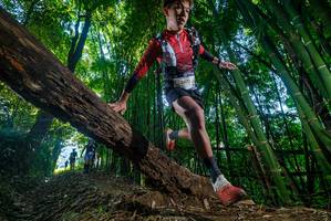 BIB: 2473
                            <button type="button" onclick="openModal(18997821)" class="btn btn-primary btn-sm float-right btn-popup" data-toggle="modal" data-target=".modal-high-quality">
                        <i class="fas fa-shopping-cart"></i> Add to Cart
                    </button>
                                            <button type="button" onclick="isThisMe(18997821, true)" class="btn btn-success btn-sm float-right btn-popup btn-isme hidden" data-toggle="tooltip" data-placement="bottom" title="นี่คือรูปของคุณใช่ไหม คลิกที่นี่เพื่อเอาเข้าอัลบั้ม">
                        <i class="fas fa-plus"></i> Add to album
                    </button>
                    <button type="button" onclick="isThisMe(18997821, false)" class="btn btn-warning btn-sm float-right btn-popup btn-isnotme hidden">
                        <i class="fas fa-ban"></i> Remove from album
                    </button>