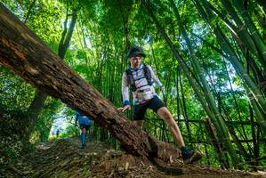 BIB: 2200
                            <button type="button" onclick="openModal(19061758)" class="btn btn-primary btn-sm float-right btn-popup" data-toggle="modal" data-target=".modal-high-quality">
                        <i class="fas fa-shopping-cart"></i> Add to Cart
                    </button>
                                            <button type="button" onclick="isThisMe(19061758, true)" class="btn btn-success btn-sm float-right btn-popup btn-isme hidden" data-toggle="tooltip" data-placement="bottom" title="นี่คือรูปของคุณใช่ไหม คลิกที่นี่เพื่อเอาเข้าอัลบั้ม">
                        <i class="fas fa-plus"></i> Add to album
                    </button>
                    <button type="button" onclick="isThisMe(19061758, false)" class="btn btn-warning btn-sm float-right btn-popup btn-isnotme hidden">
                        <i class="fas fa-ban"></i> Remove from album
                    </button>