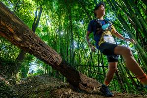 BIB: 2741
                            <button type="button" onclick="openModal(19061757)" class="btn btn-primary btn-sm float-right btn-popup" data-toggle="modal" data-target=".modal-high-quality">
                        <i class="fas fa-shopping-cart"></i> Add to Cart
                    </button>
                                            <button type="button" onclick="isThisMe(19061757, true)" class="btn btn-success btn-sm float-right btn-popup btn-isme hidden" data-toggle="tooltip" data-placement="bottom" title="นี่คือรูปของคุณใช่ไหม คลิกที่นี่เพื่อเอาเข้าอัลบั้ม">
                        <i class="fas fa-plus"></i> Add to album
                    </button>
                    <button type="button" onclick="isThisMe(19061757, false)" class="btn btn-warning btn-sm float-right btn-popup btn-isnotme hidden">
                        <i class="fas fa-ban"></i> Remove from album
                    </button>