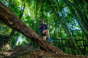 BIB: 
                            <button type="button" onclick="openModal(19002721)" class="btn btn-primary btn-sm float-right btn-popup" data-toggle="modal" data-target=".modal-high-quality">
                        <i class="fas fa-shopping-cart"></i> Add to Cart
                    </button>
                                            <button type="button" onclick="isThisMe(19002721, true)" class="btn btn-success btn-sm float-right btn-popup btn-isme hidden" data-toggle="tooltip" data-placement="bottom" title="นี่คือรูปของคุณใช่ไหม คลิกที่นี่เพื่อเอาเข้าอัลบั้ม">
                        <i class="fas fa-plus"></i> Add to album
                    </button>
                    <button type="button" onclick="isThisMe(19002721, false)" class="btn btn-warning btn-sm float-right btn-popup btn-isnotme hidden">
                        <i class="fas fa-ban"></i> Remove from album
                    </button>