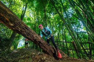 BIB: 
                            <button type="button" onclick="openModal(19060606)" class="btn btn-primary btn-sm float-right btn-popup" data-toggle="modal" data-target=".modal-high-quality">
                        <i class="fas fa-shopping-cart"></i> Add to Cart
                    </button>
                                            <button type="button" onclick="isThisMe(19060606, true)" class="btn btn-success btn-sm float-right btn-popup btn-isme hidden" data-toggle="tooltip" data-placement="bottom" title="นี่คือรูปของคุณใช่ไหม คลิกที่นี่เพื่อเอาเข้าอัลบั้ม">
                        <i class="fas fa-plus"></i> Add to album
                    </button>
                    <button type="button" onclick="isThisMe(19060606, false)" class="btn btn-warning btn-sm float-right btn-popup btn-isnotme hidden">
                        <i class="fas fa-ban"></i> Remove from album
                    </button>