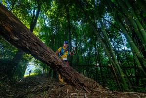 BIB: 
                            <button type="button" onclick="openModal(18990421)" class="btn btn-primary btn-sm float-right btn-popup" data-toggle="modal" data-target=".modal-high-quality">
                        <i class="fas fa-shopping-cart"></i> Add to Cart
                    </button>
                                            <button type="button" onclick="isThisMe(18990421, true)" class="btn btn-success btn-sm float-right btn-popup btn-isme hidden" data-toggle="tooltip" data-placement="bottom" title="นี่คือรูปของคุณใช่ไหม คลิกที่นี่เพื่อเอาเข้าอัลบั้ม">
                        <i class="fas fa-plus"></i> Add to album
                    </button>
                    <button type="button" onclick="isThisMe(18990421, false)" class="btn btn-warning btn-sm float-right btn-popup btn-isnotme hidden">
                        <i class="fas fa-ban"></i> Remove from album
                    </button>