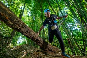 BIB: 2320
                            <button type="button" onclick="openModal(19070900)" class="btn btn-primary btn-sm float-right btn-popup" data-toggle="modal" data-target=".modal-high-quality">
                        <i class="fas fa-shopping-cart"></i> Add to Cart
                    </button>
                                            <button type="button" onclick="isThisMe(19070900, true)" class="btn btn-success btn-sm float-right btn-popup btn-isme hidden" data-toggle="tooltip" data-placement="bottom" title="นี่คือรูปของคุณใช่ไหม คลิกที่นี่เพื่อเอาเข้าอัลบั้ม">
                        <i class="fas fa-plus"></i> Add to album
                    </button>
                    <button type="button" onclick="isThisMe(19070900, false)" class="btn btn-warning btn-sm float-right btn-popup btn-isnotme hidden">
                        <i class="fas fa-ban"></i> Remove from album
                    </button>