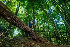 BIB: 
                            <button type="button" onclick="openModal(19065338)" class="btn btn-primary btn-sm float-right btn-popup" data-toggle="modal" data-target=".modal-high-quality">
                        <i class="fas fa-shopping-cart"></i> Add to Cart
                    </button>
                                            <button type="button" onclick="isThisMe(19065338, true)" class="btn btn-success btn-sm float-right btn-popup btn-isme hidden" data-toggle="tooltip" data-placement="bottom" title="นี่คือรูปของคุณใช่ไหม คลิกที่นี่เพื่อเอาเข้าอัลบั้ม">
                        <i class="fas fa-plus"></i> Add to album
                    </button>
                    <button type="button" onclick="isThisMe(19065338, false)" class="btn btn-warning btn-sm float-right btn-popup btn-isnotme hidden">
                        <i class="fas fa-ban"></i> Remove from album
                    </button>