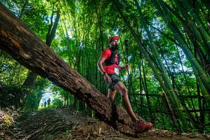 BIB: 
                            <button type="button" onclick="openModal(18999616)" class="btn btn-primary btn-sm float-right btn-popup" data-toggle="modal" data-target=".modal-high-quality">
                        <i class="fas fa-shopping-cart"></i> Add to Cart
                    </button>
                                            <button type="button" onclick="isThisMe(18999616, true)" class="btn btn-success btn-sm float-right btn-popup btn-isme hidden" data-toggle="tooltip" data-placement="bottom" title="นี่คือรูปของคุณใช่ไหม คลิกที่นี่เพื่อเอาเข้าอัลบั้ม">
                        <i class="fas fa-plus"></i> Add to album
                    </button>
                    <button type="button" onclick="isThisMe(18999616, false)" class="btn btn-warning btn-sm float-right btn-popup btn-isnotme hidden">
                        <i class="fas fa-ban"></i> Remove from album
                    </button>