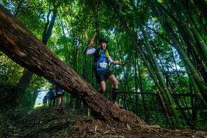 BIB: 
                            <button type="button" onclick="openModal(18990343)" class="btn btn-primary btn-sm float-right btn-popup" data-toggle="modal" data-target=".modal-high-quality">
                        <i class="fas fa-shopping-cart"></i> Add to Cart
                    </button>
                                            <button type="button" onclick="isThisMe(18990343, true)" class="btn btn-success btn-sm float-right btn-popup btn-isme hidden" data-toggle="tooltip" data-placement="bottom" title="นี่คือรูปของคุณใช่ไหม คลิกที่นี่เพื่อเอาเข้าอัลบั้ม">
                        <i class="fas fa-plus"></i> Add to album
                    </button>
                    <button type="button" onclick="isThisMe(18990343, false)" class="btn btn-warning btn-sm float-right btn-popup btn-isnotme hidden">
                        <i class="fas fa-ban"></i> Remove from album
                    </button>