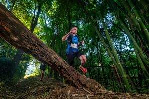 BIB: 
                            <button type="button" onclick="openModal(18987861)" class="btn btn-primary btn-sm float-right btn-popup" data-toggle="modal" data-target=".modal-high-quality">
                        <i class="fas fa-shopping-cart"></i> Add to Cart
                    </button>
                                            <button type="button" onclick="isThisMe(18987861, true)" class="btn btn-success btn-sm float-right btn-popup btn-isme hidden" data-toggle="tooltip" data-placement="bottom" title="นี่คือรูปของคุณใช่ไหม คลิกที่นี่เพื่อเอาเข้าอัลบั้ม">
                        <i class="fas fa-plus"></i> Add to album
                    </button>
                    <button type="button" onclick="isThisMe(18987861, false)" class="btn btn-warning btn-sm float-right btn-popup btn-isnotme hidden">
                        <i class="fas fa-ban"></i> Remove from album
                    </button>