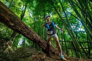 BIB: 
                            <button type="button" onclick="openModal(19068401)" class="btn btn-primary btn-sm float-right btn-popup" data-toggle="modal" data-target=".modal-high-quality">
                        <i class="fas fa-shopping-cart"></i> Add to Cart
                    </button>
                                            <button type="button" onclick="isThisMe(19068401, true)" class="btn btn-success btn-sm float-right btn-popup btn-isme hidden" data-toggle="tooltip" data-placement="bottom" title="นี่คือรูปของคุณใช่ไหม คลิกที่นี่เพื่อเอาเข้าอัลบั้ม">
                        <i class="fas fa-plus"></i> Add to album
                    </button>
                    <button type="button" onclick="isThisMe(19068401, false)" class="btn btn-warning btn-sm float-right btn-popup btn-isnotme hidden">
                        <i class="fas fa-ban"></i> Remove from album
                    </button>