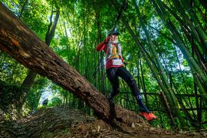 BIB: 
                            <button type="button" onclick="openModal(19056056)" class="btn btn-primary btn-sm float-right btn-popup" data-toggle="modal" data-target=".modal-high-quality">
                        <i class="fas fa-shopping-cart"></i> Add to Cart
                    </button>
                                            <button type="button" onclick="isThisMe(19056056, true)" class="btn btn-success btn-sm float-right btn-popup btn-isme hidden" data-toggle="tooltip" data-placement="bottom" title="นี่คือรูปของคุณใช่ไหม คลิกที่นี่เพื่อเอาเข้าอัลบั้ม">
                        <i class="fas fa-plus"></i> Add to album
                    </button>
                    <button type="button" onclick="isThisMe(19056056, false)" class="btn btn-warning btn-sm float-right btn-popup btn-isnotme hidden">
                        <i class="fas fa-ban"></i> Remove from album
                    </button>