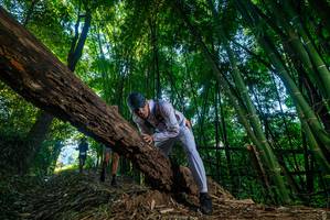 BIB: 
                            <button type="button" onclick="openModal(18996383)" class="btn btn-primary btn-sm float-right btn-popup" data-toggle="modal" data-target=".modal-high-quality">
                        <i class="fas fa-shopping-cart"></i> Add to Cart
                    </button>
                                            <button type="button" onclick="isThisMe(18996383, true)" class="btn btn-success btn-sm float-right btn-popup btn-isme hidden" data-toggle="tooltip" data-placement="bottom" title="นี่คือรูปของคุณใช่ไหม คลิกที่นี่เพื่อเอาเข้าอัลบั้ม">
                        <i class="fas fa-plus"></i> Add to album
                    </button>
                    <button type="button" onclick="isThisMe(18996383, false)" class="btn btn-warning btn-sm float-right btn-popup btn-isnotme hidden">
                        <i class="fas fa-ban"></i> Remove from album
                    </button>