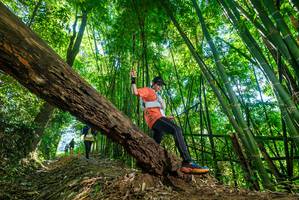 BIB: 
                            <button type="button" onclick="openModal(19070491)" class="btn btn-primary btn-sm float-right btn-popup" data-toggle="modal" data-target=".modal-high-quality">
                        <i class="fas fa-shopping-cart"></i> Add to Cart
                    </button>
                                            <button type="button" onclick="isThisMe(19070491, true)" class="btn btn-success btn-sm float-right btn-popup btn-isme hidden" data-toggle="tooltip" data-placement="bottom" title="นี่คือรูปของคุณใช่ไหม คลิกที่นี่เพื่อเอาเข้าอัลบั้ม">
                        <i class="fas fa-plus"></i> Add to album
                    </button>
                    <button type="button" onclick="isThisMe(19070491, false)" class="btn btn-warning btn-sm float-right btn-popup btn-isnotme hidden">
                        <i class="fas fa-ban"></i> Remove from album
                    </button>