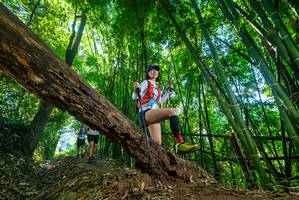 BIB: 
                            <button type="button" onclick="openModal(19059163)" class="btn btn-primary btn-sm float-right btn-popup" data-toggle="modal" data-target=".modal-high-quality">
                        <i class="fas fa-shopping-cart"></i> Add to Cart
                    </button>
                                            <button type="button" onclick="isThisMe(19059163, true)" class="btn btn-success btn-sm float-right btn-popup btn-isme hidden" data-toggle="tooltip" data-placement="bottom" title="นี่คือรูปของคุณใช่ไหม คลิกที่นี่เพื่อเอาเข้าอัลบั้ม">
                        <i class="fas fa-plus"></i> Add to album
                    </button>
                    <button type="button" onclick="isThisMe(19059163, false)" class="btn btn-warning btn-sm float-right btn-popup btn-isnotme hidden">
                        <i class="fas fa-ban"></i> Remove from album
                    </button>