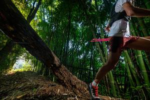 BIB: 
                            <button type="button" onclick="openModal(18986562)" class="btn btn-primary btn-sm float-right btn-popup" data-toggle="modal" data-target=".modal-high-quality">
                        <i class="fas fa-shopping-cart"></i> Add to Cart
                    </button>
                                            <button type="button" onclick="isThisMe(18986562, true)" class="btn btn-success btn-sm float-right btn-popup btn-isme hidden" data-toggle="tooltip" data-placement="bottom" title="นี่คือรูปของคุณใช่ไหม คลิกที่นี่เพื่อเอาเข้าอัลบั้ม">
                        <i class="fas fa-plus"></i> Add to album
                    </button>
                    <button type="button" onclick="isThisMe(18986562, false)" class="btn btn-warning btn-sm float-right btn-popup btn-isnotme hidden">
                        <i class="fas fa-ban"></i> Remove from album
                    </button>