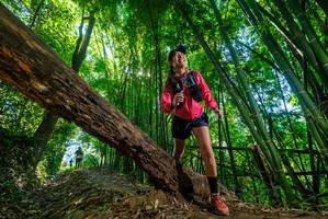 BIB: 
                            <button type="button" onclick="openModal(19056160)" class="btn btn-primary btn-sm float-right btn-popup" data-toggle="modal" data-target=".modal-high-quality">
                        <i class="fas fa-shopping-cart"></i> Add to Cart
                    </button>
                                            <button type="button" onclick="isThisMe(19056160, true)" class="btn btn-success btn-sm float-right btn-popup btn-isme hidden" data-toggle="tooltip" data-placement="bottom" title="นี่คือรูปของคุณใช่ไหม คลิกที่นี่เพื่อเอาเข้าอัลบั้ม">
                        <i class="fas fa-plus"></i> Add to album
                    </button>
                    <button type="button" onclick="isThisMe(19056160, false)" class="btn btn-warning btn-sm float-right btn-popup btn-isnotme hidden">
                        <i class="fas fa-ban"></i> Remove from album
                    </button>