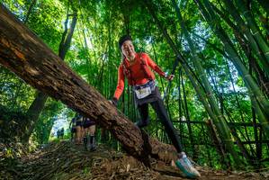 BIB: 
                            <button type="button" onclick="openModal(19056532)" class="btn btn-primary btn-sm float-right btn-popup" data-toggle="modal" data-target=".modal-high-quality">
                        <i class="fas fa-shopping-cart"></i> Add to Cart
                    </button>
                                            <button type="button" onclick="isThisMe(19056532, true)" class="btn btn-success btn-sm float-right btn-popup btn-isme hidden" data-toggle="tooltip" data-placement="bottom" title="นี่คือรูปของคุณใช่ไหม คลิกที่นี่เพื่อเอาเข้าอัลบั้ม">
                        <i class="fas fa-plus"></i> Add to album
                    </button>
                    <button type="button" onclick="isThisMe(19056532, false)" class="btn btn-warning btn-sm float-right btn-popup btn-isnotme hidden">
                        <i class="fas fa-ban"></i> Remove from album
                    </button>