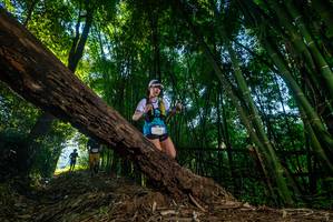 BIB: 
                            <button type="button" onclick="openModal(18990081)" class="btn btn-primary btn-sm float-right btn-popup" data-toggle="modal" data-target=".modal-high-quality">
                        <i class="fas fa-shopping-cart"></i> Add to Cart
                    </button>
                                            <button type="button" onclick="isThisMe(18990081, true)" class="btn btn-success btn-sm float-right btn-popup btn-isme hidden" data-toggle="tooltip" data-placement="bottom" title="นี่คือรูปของคุณใช่ไหม คลิกที่นี่เพื่อเอาเข้าอัลบั้ม">
                        <i class="fas fa-plus"></i> Add to album
                    </button>
                    <button type="button" onclick="isThisMe(18990081, false)" class="btn btn-warning btn-sm float-right btn-popup btn-isnotme hidden">
                        <i class="fas fa-ban"></i> Remove from album
                    </button>