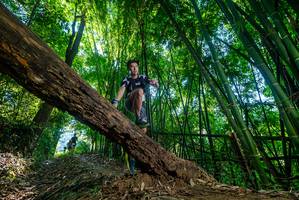 BIB: 
                            <button type="button" onclick="openModal(19000834)" class="btn btn-primary btn-sm float-right btn-popup" data-toggle="modal" data-target=".modal-high-quality">
                        <i class="fas fa-shopping-cart"></i> Add to Cart
                    </button>
                                            <button type="button" onclick="isThisMe(19000834, true)" class="btn btn-success btn-sm float-right btn-popup btn-isme hidden" data-toggle="tooltip" data-placement="bottom" title="นี่คือรูปของคุณใช่ไหม คลิกที่นี่เพื่อเอาเข้าอัลบั้ม">
                        <i class="fas fa-plus"></i> Add to album
                    </button>
                    <button type="button" onclick="isThisMe(19000834, false)" class="btn btn-warning btn-sm float-right btn-popup btn-isnotme hidden">
                        <i class="fas fa-ban"></i> Remove from album
                    </button>