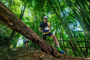 BIB: 
                            <button type="button" onclick="openModal(19061751)" class="btn btn-primary btn-sm float-right btn-popup" data-toggle="modal" data-target=".modal-high-quality">
                        <i class="fas fa-shopping-cart"></i> Add to Cart
                    </button>
                                            <button type="button" onclick="isThisMe(19061751, true)" class="btn btn-success btn-sm float-right btn-popup btn-isme hidden" data-toggle="tooltip" data-placement="bottom" title="นี่คือรูปของคุณใช่ไหม คลิกที่นี่เพื่อเอาเข้าอัลบั้ม">
                        <i class="fas fa-plus"></i> Add to album
                    </button>
                    <button type="button" onclick="isThisMe(19061751, false)" class="btn btn-warning btn-sm float-right btn-popup btn-isnotme hidden">
                        <i class="fas fa-ban"></i> Remove from album
                    </button>