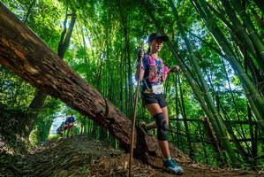 BIB: 320
                            <button type="button" onclick="openModal(19059997)" class="btn btn-primary btn-sm float-right btn-popup" data-toggle="modal" data-target=".modal-high-quality">
                        <i class="fas fa-shopping-cart"></i> Add to Cart
                    </button>
                                            <button type="button" onclick="isThisMe(19059997, true)" class="btn btn-success btn-sm float-right btn-popup btn-isme hidden" data-toggle="tooltip" data-placement="bottom" title="นี่คือรูปของคุณใช่ไหม คลิกที่นี่เพื่อเอาเข้าอัลบั้ม">
                        <i class="fas fa-plus"></i> Add to album
                    </button>
                    <button type="button" onclick="isThisMe(19059997, false)" class="btn btn-warning btn-sm float-right btn-popup btn-isnotme hidden">
                        <i class="fas fa-ban"></i> Remove from album
                    </button>