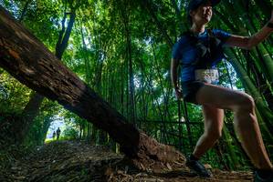 BIB: 2093, 199
                            <button type="button" onclick="openModal(18993158)" class="btn btn-primary btn-sm float-right btn-popup" data-toggle="modal" data-target=".modal-high-quality">
                        <i class="fas fa-shopping-cart"></i> Add to Cart
                    </button>
                                            <button type="button" onclick="isThisMe(18993158, true)" class="btn btn-success btn-sm float-right btn-popup btn-isme hidden" data-toggle="tooltip" data-placement="bottom" title="นี่คือรูปของคุณใช่ไหม คลิกที่นี่เพื่อเอาเข้าอัลบั้ม">
                        <i class="fas fa-plus"></i> Add to album
                    </button>
                    <button type="button" onclick="isThisMe(18993158, false)" class="btn btn-warning btn-sm float-right btn-popup btn-isnotme hidden">
                        <i class="fas fa-ban"></i> Remove from album
                    </button>