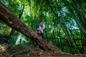 BIB: 
                            <button type="button" onclick="openModal(18998994)" class="btn btn-primary btn-sm float-right btn-popup" data-toggle="modal" data-target=".modal-high-quality">
                        <i class="fas fa-shopping-cart"></i> Add to Cart
                    </button>
                                            <button type="button" onclick="isThisMe(18998994, true)" class="btn btn-success btn-sm float-right btn-popup btn-isme hidden" data-toggle="tooltip" data-placement="bottom" title="นี่คือรูปของคุณใช่ไหม คลิกที่นี่เพื่อเอาเข้าอัลบั้ม">
                        <i class="fas fa-plus"></i> Add to album
                    </button>
                    <button type="button" onclick="isThisMe(18998994, false)" class="btn btn-warning btn-sm float-right btn-popup btn-isnotme hidden">
                        <i class="fas fa-ban"></i> Remove from album
                    </button>