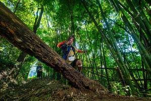 BIB: 
                            <button type="button" onclick="openModal(19065921)" class="btn btn-primary btn-sm float-right btn-popup" data-toggle="modal" data-target=".modal-high-quality">
                        <i class="fas fa-shopping-cart"></i> Add to Cart
                    </button>
                                            <button type="button" onclick="isThisMe(19065921, true)" class="btn btn-success btn-sm float-right btn-popup btn-isme hidden" data-toggle="tooltip" data-placement="bottom" title="นี่คือรูปของคุณใช่ไหม คลิกที่นี่เพื่อเอาเข้าอัลบั้ม">
                        <i class="fas fa-plus"></i> Add to album
                    </button>
                    <button type="button" onclick="isThisMe(19065921, false)" class="btn btn-warning btn-sm float-right btn-popup btn-isnotme hidden">
                        <i class="fas fa-ban"></i> Remove from album
                    </button>