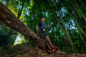 BIB: 
                            <button type="button" onclick="openModal(18987917)" class="btn btn-primary btn-sm float-right btn-popup" data-toggle="modal" data-target=".modal-high-quality">
                        <i class="fas fa-shopping-cart"></i> Add to Cart
                    </button>
                                            <button type="button" onclick="isThisMe(18987917, true)" class="btn btn-success btn-sm float-right btn-popup btn-isme hidden" data-toggle="tooltip" data-placement="bottom" title="นี่คือรูปของคุณใช่ไหม คลิกที่นี่เพื่อเอาเข้าอัลบั้ม">
                        <i class="fas fa-plus"></i> Add to album
                    </button>
                    <button type="button" onclick="isThisMe(18987917, false)" class="btn btn-warning btn-sm float-right btn-popup btn-isnotme hidden">
                        <i class="fas fa-ban"></i> Remove from album
                    </button>