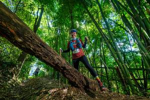 BIB: 
                            <button type="button" onclick="openModal(19069351)" class="btn btn-primary btn-sm float-right btn-popup" data-toggle="modal" data-target=".modal-high-quality">
                        <i class="fas fa-shopping-cart"></i> Add to Cart
                    </button>
                                            <button type="button" onclick="isThisMe(19069351, true)" class="btn btn-success btn-sm float-right btn-popup btn-isme hidden" data-toggle="tooltip" data-placement="bottom" title="นี่คือรูปของคุณใช่ไหม คลิกที่นี่เพื่อเอาเข้าอัลบั้ม">
                        <i class="fas fa-plus"></i> Add to album
                    </button>
                    <button type="button" onclick="isThisMe(19069351, false)" class="btn btn-warning btn-sm float-right btn-popup btn-isnotme hidden">
                        <i class="fas fa-ban"></i> Remove from album
                    </button>