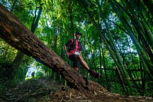 BIB: 
                            <button type="button" onclick="openModal(18999250)" class="btn btn-primary btn-sm float-right btn-popup" data-toggle="modal" data-target=".modal-high-quality">
                        <i class="fas fa-shopping-cart"></i> Add to Cart
                    </button>
                                            <button type="button" onclick="isThisMe(18999250, true)" class="btn btn-success btn-sm float-right btn-popup btn-isme hidden" data-toggle="tooltip" data-placement="bottom" title="นี่คือรูปของคุณใช่ไหม คลิกที่นี่เพื่อเอาเข้าอัลบั้ม">
                        <i class="fas fa-plus"></i> Add to album
                    </button>
                    <button type="button" onclick="isThisMe(18999250, false)" class="btn btn-warning btn-sm float-right btn-popup btn-isnotme hidden">
                        <i class="fas fa-ban"></i> Remove from album
                    </button>