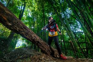 BIB: 
                            <button type="button" onclick="openModal(18997990)" class="btn btn-primary btn-sm float-right btn-popup" data-toggle="modal" data-target=".modal-high-quality">
                        <i class="fas fa-shopping-cart"></i> Add to Cart
                    </button>
                                            <button type="button" onclick="isThisMe(18997990, true)" class="btn btn-success btn-sm float-right btn-popup btn-isme hidden" data-toggle="tooltip" data-placement="bottom" title="นี่คือรูปของคุณใช่ไหม คลิกที่นี่เพื่อเอาเข้าอัลบั้ม">
                        <i class="fas fa-plus"></i> Add to album
                    </button>
                    <button type="button" onclick="isThisMe(18997990, false)" class="btn btn-warning btn-sm float-right btn-popup btn-isnotme hidden">
                        <i class="fas fa-ban"></i> Remove from album
                    </button>