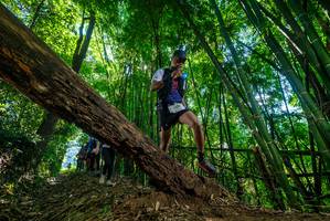 BIB: 
                            <button type="button" onclick="openModal(19064670)" class="btn btn-primary btn-sm float-right btn-popup" data-toggle="modal" data-target=".modal-high-quality">
                        <i class="fas fa-shopping-cart"></i> Add to Cart
                    </button>
                                            <button type="button" onclick="isThisMe(19064670, true)" class="btn btn-success btn-sm float-right btn-popup btn-isme hidden" data-toggle="tooltip" data-placement="bottom" title="นี่คือรูปของคุณใช่ไหม คลิกที่นี่เพื่อเอาเข้าอัลบั้ม">
                        <i class="fas fa-plus"></i> Add to album
                    </button>
                    <button type="button" onclick="isThisMe(19064670, false)" class="btn btn-warning btn-sm float-right btn-popup btn-isnotme hidden">
                        <i class="fas fa-ban"></i> Remove from album
                    </button>