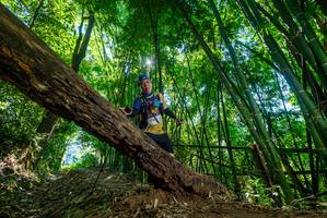 BIB: 
                            <button type="button" onclick="openModal(19066248)" class="btn btn-primary btn-sm float-right btn-popup" data-toggle="modal" data-target=".modal-high-quality">
                        <i class="fas fa-shopping-cart"></i> Add to Cart
                    </button>
                                            <button type="button" onclick="isThisMe(19066248, true)" class="btn btn-success btn-sm float-right btn-popup btn-isme hidden" data-toggle="tooltip" data-placement="bottom" title="นี่คือรูปของคุณใช่ไหม คลิกที่นี่เพื่อเอาเข้าอัลบั้ม">
                        <i class="fas fa-plus"></i> Add to album
                    </button>
                    <button type="button" onclick="isThisMe(19066248, false)" class="btn btn-warning btn-sm float-right btn-popup btn-isnotme hidden">
                        <i class="fas fa-ban"></i> Remove from album
                    </button>