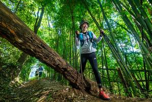 BIB: 
                            <button type="button" onclick="openModal(19070613)" class="btn btn-primary btn-sm float-right btn-popup" data-toggle="modal" data-target=".modal-high-quality">
                        <i class="fas fa-shopping-cart"></i> Add to Cart
                    </button>
                                            <button type="button" onclick="isThisMe(19070613, true)" class="btn btn-success btn-sm float-right btn-popup btn-isme hidden" data-toggle="tooltip" data-placement="bottom" title="นี่คือรูปของคุณใช่ไหม คลิกที่นี่เพื่อเอาเข้าอัลบั้ม">
                        <i class="fas fa-plus"></i> Add to album
                    </button>
                    <button type="button" onclick="isThisMe(19070613, false)" class="btn btn-warning btn-sm float-right btn-popup btn-isnotme hidden">
                        <i class="fas fa-ban"></i> Remove from album
                    </button>