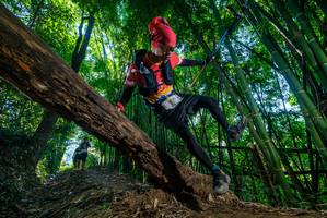 BIB: 
                            <button type="button" onclick="openModal(19056502)" class="btn btn-primary btn-sm float-right btn-popup" data-toggle="modal" data-target=".modal-high-quality">
                        <i class="fas fa-shopping-cart"></i> Add to Cart
                    </button>
                                            <button type="button" onclick="isThisMe(19056502, true)" class="btn btn-success btn-sm float-right btn-popup btn-isme hidden" data-toggle="tooltip" data-placement="bottom" title="นี่คือรูปของคุณใช่ไหม คลิกที่นี่เพื่อเอาเข้าอัลบั้ม">
                        <i class="fas fa-plus"></i> Add to album
                    </button>
                    <button type="button" onclick="isThisMe(19056502, false)" class="btn btn-warning btn-sm float-right btn-popup btn-isnotme hidden">
                        <i class="fas fa-ban"></i> Remove from album
                    </button>