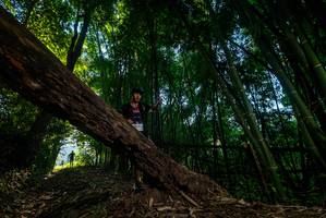 BIB: 
                            <button type="button" onclick="openModal(18988756)" class="btn btn-primary btn-sm float-right btn-popup" data-toggle="modal" data-target=".modal-high-quality">
                        <i class="fas fa-shopping-cart"></i> Add to Cart
                    </button>
                                            <button type="button" onclick="isThisMe(18988756, true)" class="btn btn-success btn-sm float-right btn-popup btn-isme hidden" data-toggle="tooltip" data-placement="bottom" title="นี่คือรูปของคุณใช่ไหม คลิกที่นี่เพื่อเอาเข้าอัลบั้ม">
                        <i class="fas fa-plus"></i> Add to album
                    </button>
                    <button type="button" onclick="isThisMe(18988756, false)" class="btn btn-warning btn-sm float-right btn-popup btn-isnotme hidden">
                        <i class="fas fa-ban"></i> Remove from album
                    </button>