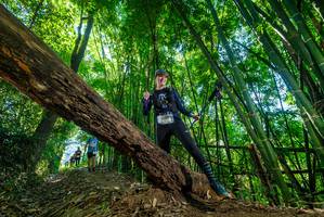 BIB: 
                            <button type="button" onclick="openModal(19061303)" class="btn btn-primary btn-sm float-right btn-popup" data-toggle="modal" data-target=".modal-high-quality">
                        <i class="fas fa-shopping-cart"></i> Add to Cart
                    </button>
                                            <button type="button" onclick="isThisMe(19061303, true)" class="btn btn-success btn-sm float-right btn-popup btn-isme hidden" data-toggle="tooltip" data-placement="bottom" title="นี่คือรูปของคุณใช่ไหม คลิกที่นี่เพื่อเอาเข้าอัลบั้ม">
                        <i class="fas fa-plus"></i> Add to album
                    </button>
                    <button type="button" onclick="isThisMe(19061303, false)" class="btn btn-warning btn-sm float-right btn-popup btn-isnotme hidden">
                        <i class="fas fa-ban"></i> Remove from album
                    </button>