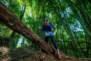 BIB: 
                            <button type="button" onclick="openModal(19000993)" class="btn btn-primary btn-sm float-right btn-popup" data-toggle="modal" data-target=".modal-high-quality">
                        <i class="fas fa-shopping-cart"></i> Add to Cart
                    </button>
                                            <button type="button" onclick="isThisMe(19000993, true)" class="btn btn-success btn-sm float-right btn-popup btn-isme hidden" data-toggle="tooltip" data-placement="bottom" title="นี่คือรูปของคุณใช่ไหม คลิกที่นี่เพื่อเอาเข้าอัลบั้ม">
                        <i class="fas fa-plus"></i> Add to album
                    </button>
                    <button type="button" onclick="isThisMe(19000993, false)" class="btn btn-warning btn-sm float-right btn-popup btn-isnotme hidden">
                        <i class="fas fa-ban"></i> Remove from album
                    </button>