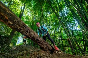 BIB: 
                            <button type="button" onclick="openModal(19060577)" class="btn btn-primary btn-sm float-right btn-popup" data-toggle="modal" data-target=".modal-high-quality">
                        <i class="fas fa-shopping-cart"></i> Add to Cart
                    </button>
                                            <button type="button" onclick="isThisMe(19060577, true)" class="btn btn-success btn-sm float-right btn-popup btn-isme hidden" data-toggle="tooltip" data-placement="bottom" title="นี่คือรูปของคุณใช่ไหม คลิกที่นี่เพื่อเอาเข้าอัลบั้ม">
                        <i class="fas fa-plus"></i> Add to album
                    </button>
                    <button type="button" onclick="isThisMe(19060577, false)" class="btn btn-warning btn-sm float-right btn-popup btn-isnotme hidden">
                        <i class="fas fa-ban"></i> Remove from album
                    </button>